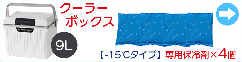 クーラーボックスと【-15℃タイプ】専用保冷剤×4個